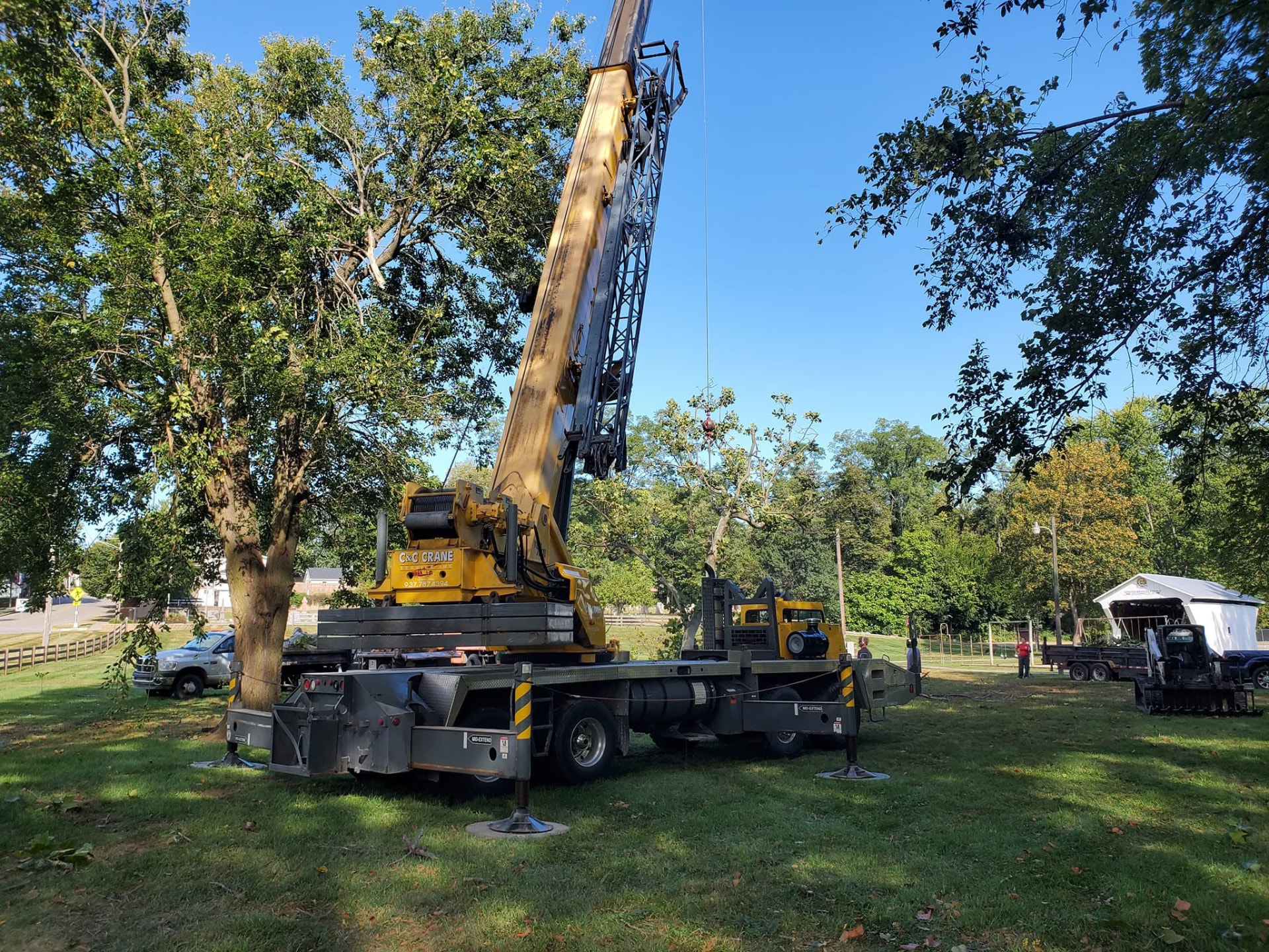 Storm Damage Tree Cleanup