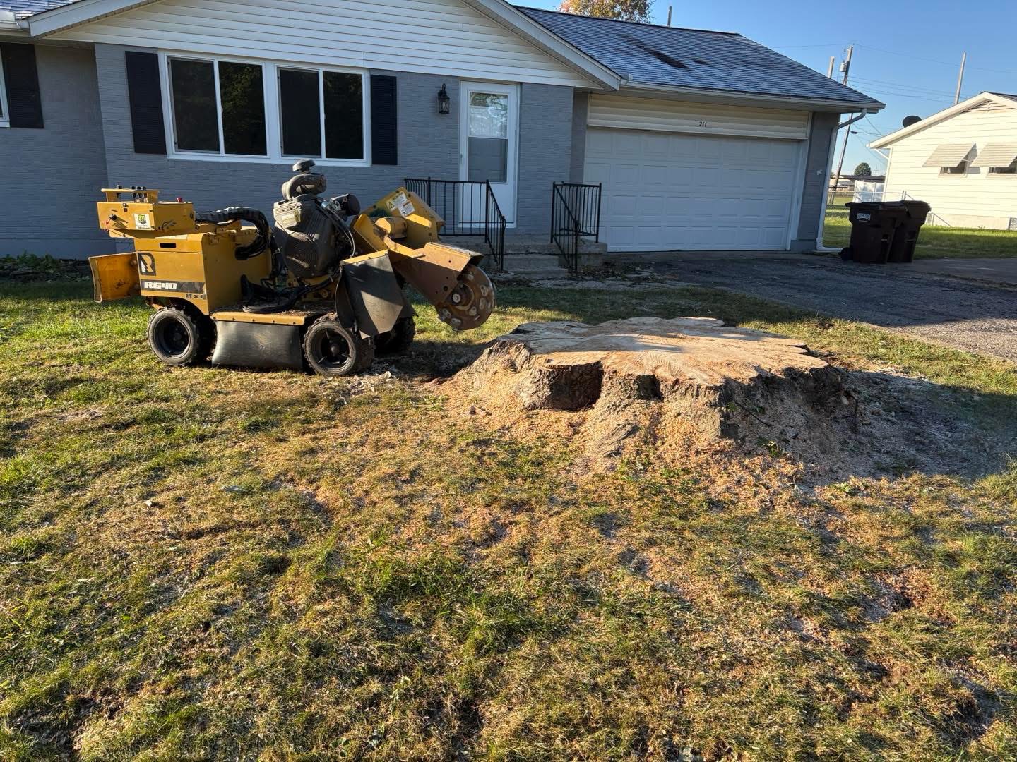 Stump Grinding & Removal